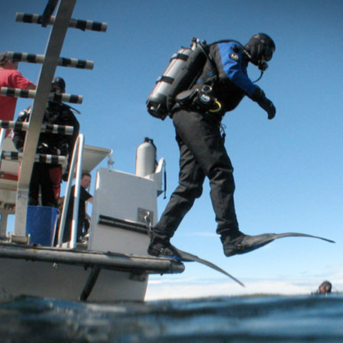 Book a Dive